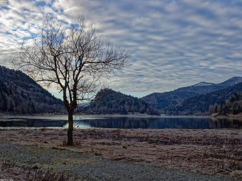 <p>Adipisicing aut magnam</p>