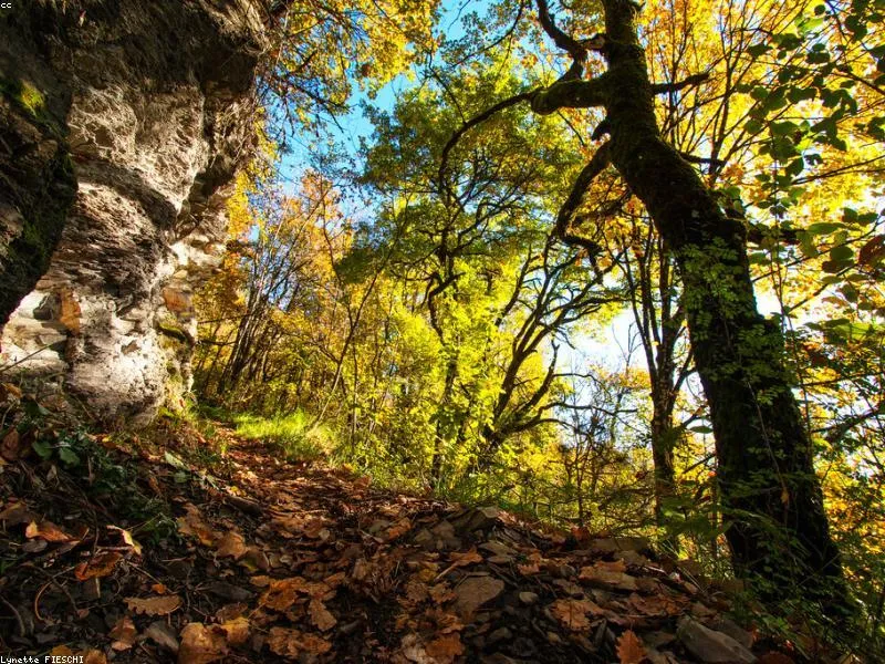 <p>Jumanji 2077, Cyberpunk 2077</p>