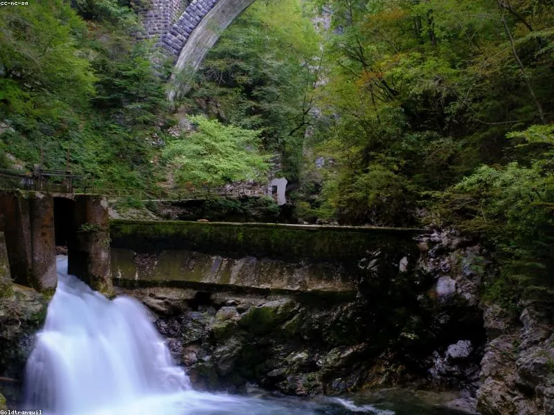 <p>Yoshlar majlisi 2026</p>