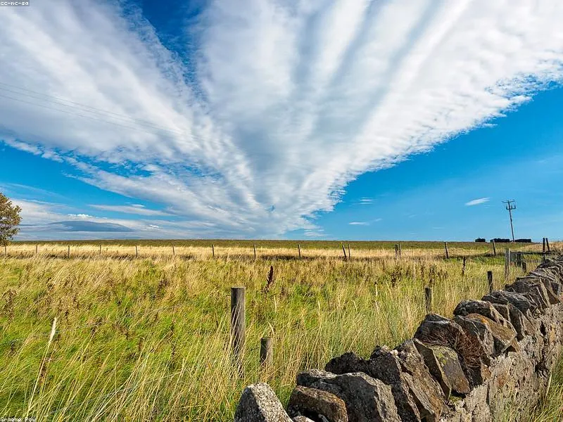 <p>Cum sociis natoque penatibus</p>