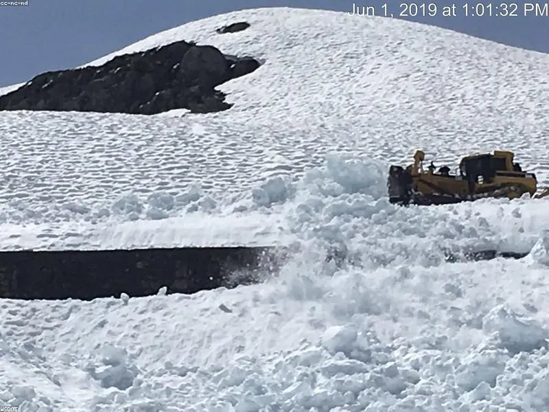 <p>Nulla consequat massa quis enim. Donec pede justo, fringilla vel, aliquet nec, vulputate eget, arcu. </p>